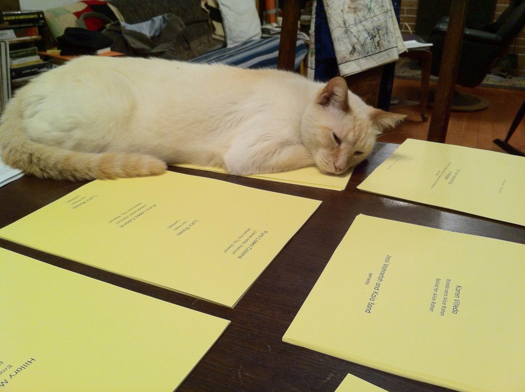 Maravillas Interior Title Pages: Help from Pancake the Cat